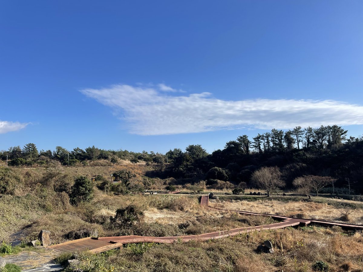 namej's tweet image. 오늘 산책 - 파란하늘, 쌀쌀