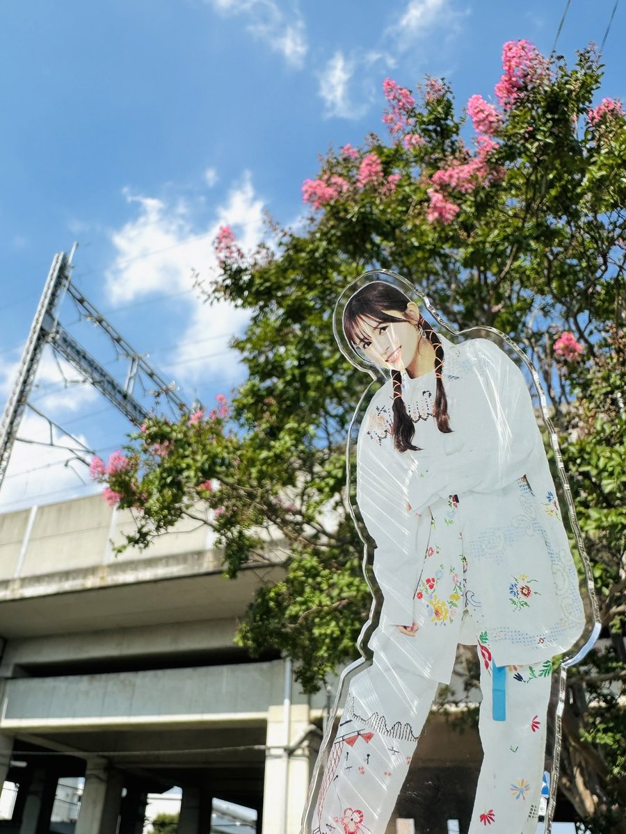 さとぴ (@_3_10_4) / Posts / X