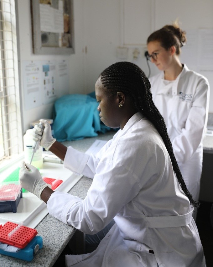 rzss's tweet photo. Using invertebrates, the team trialled a state-of-the-art portable DNA sequencer, helping explore how cutting-edge science can support conservation in the field 🧬

Find out more about the team���s hopes for the future in our latest blog 🔗https://t.co/2ASZr8xDOZ https://t.co/cqaMHqBROB