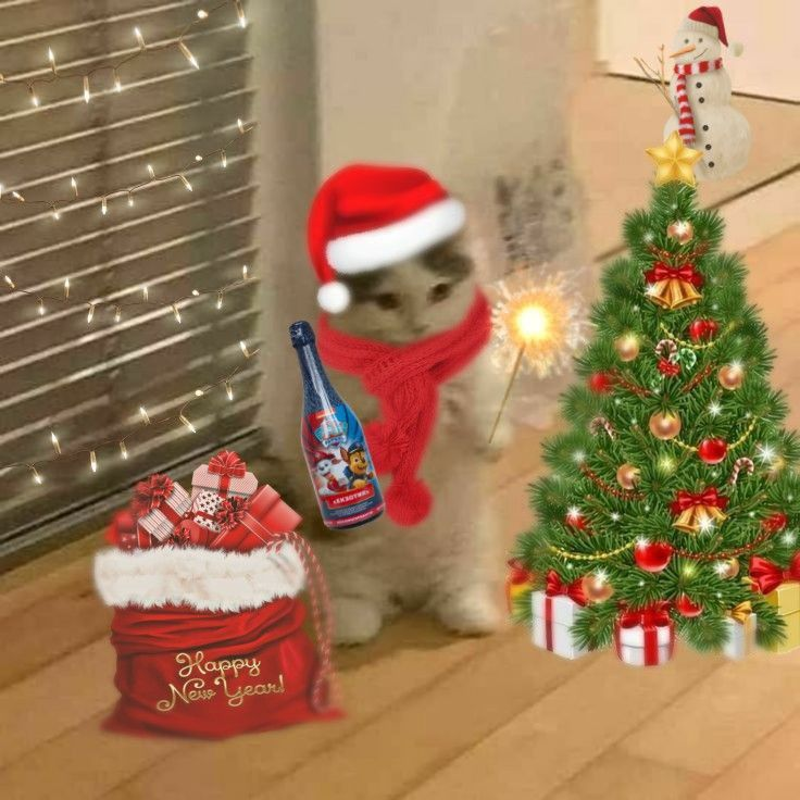 BlaiseChat's tweet photo. Waiting for the New Year https://t.co/Qn890tald2
