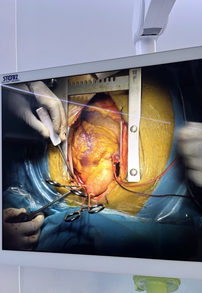 Sofía Vila-Sanjuán tweet media