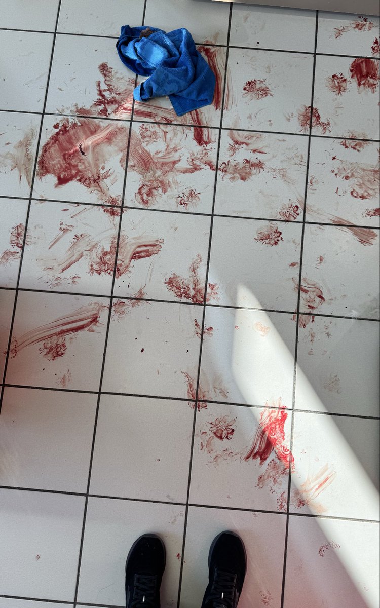 Quand le chien accidenté débarque par desssus le planning déjà bondé en veille de jour férié…