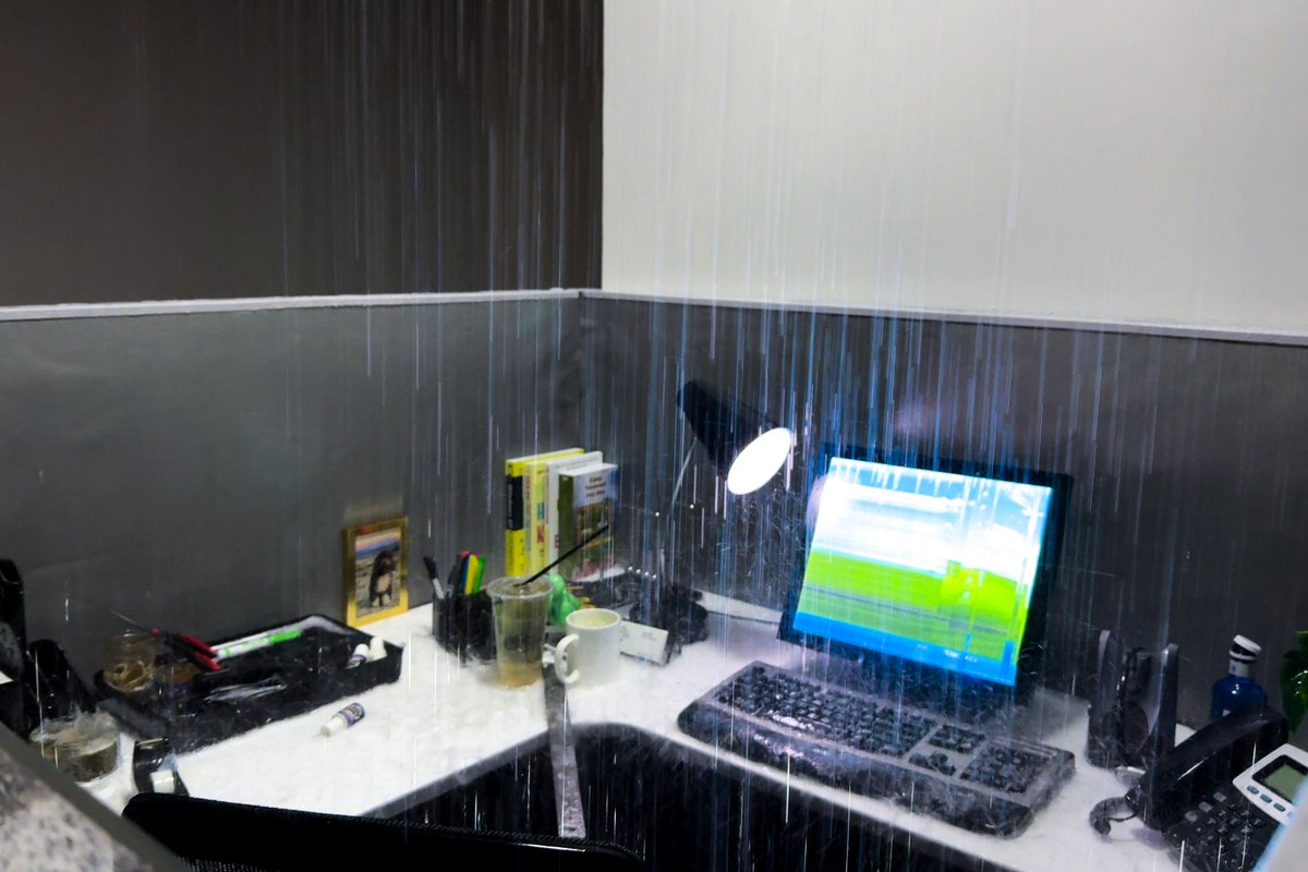 2025年 印象に残った「作品」（順不同）
▍《鎖に繋がれた犬のダイナミクス》/ 藤堂高行（ENCOUNTERS @ TODA HALL）
▍《フラジャイル・ギフト:隼の凧》/ 北澤潤（六本木クロッシング2025 @森美術館） 
▍《欲望のコード》/