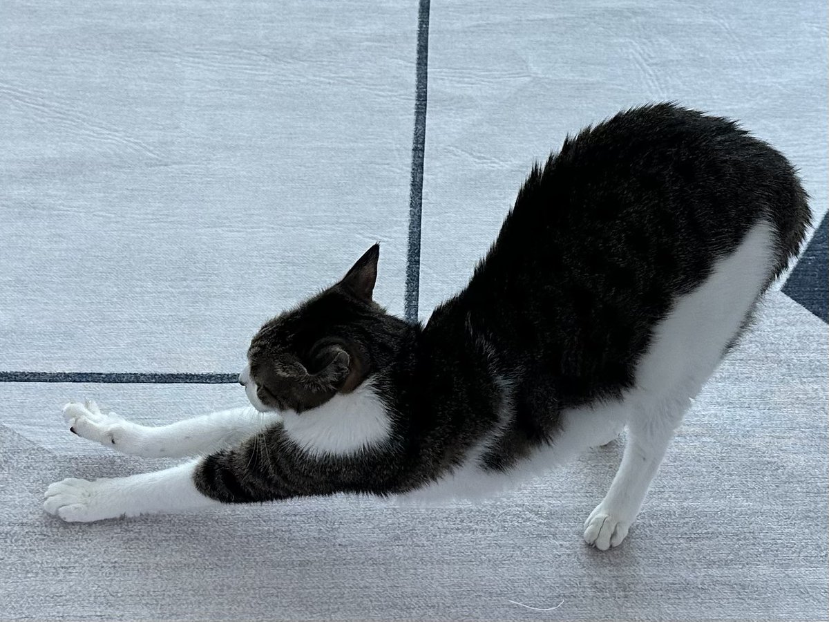 저녁 스트레칭하자