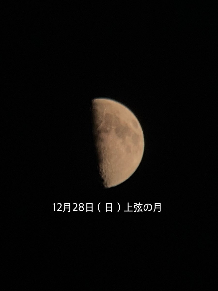 ChinChanMama's tweet photo. 2025年もお世話になりました。
皆様におかれましては、どうぞ穏やかな年末年始をお過ごしくださいませね。

優しい繋がりに『感謝』（ｶｰﾈｰｼｮﾝの花言葉）しております。

喪中につき、新年のご挨拶は控えさせて頂きます。

＃月とカーネーション https://t.co/XIK1SWFGX7