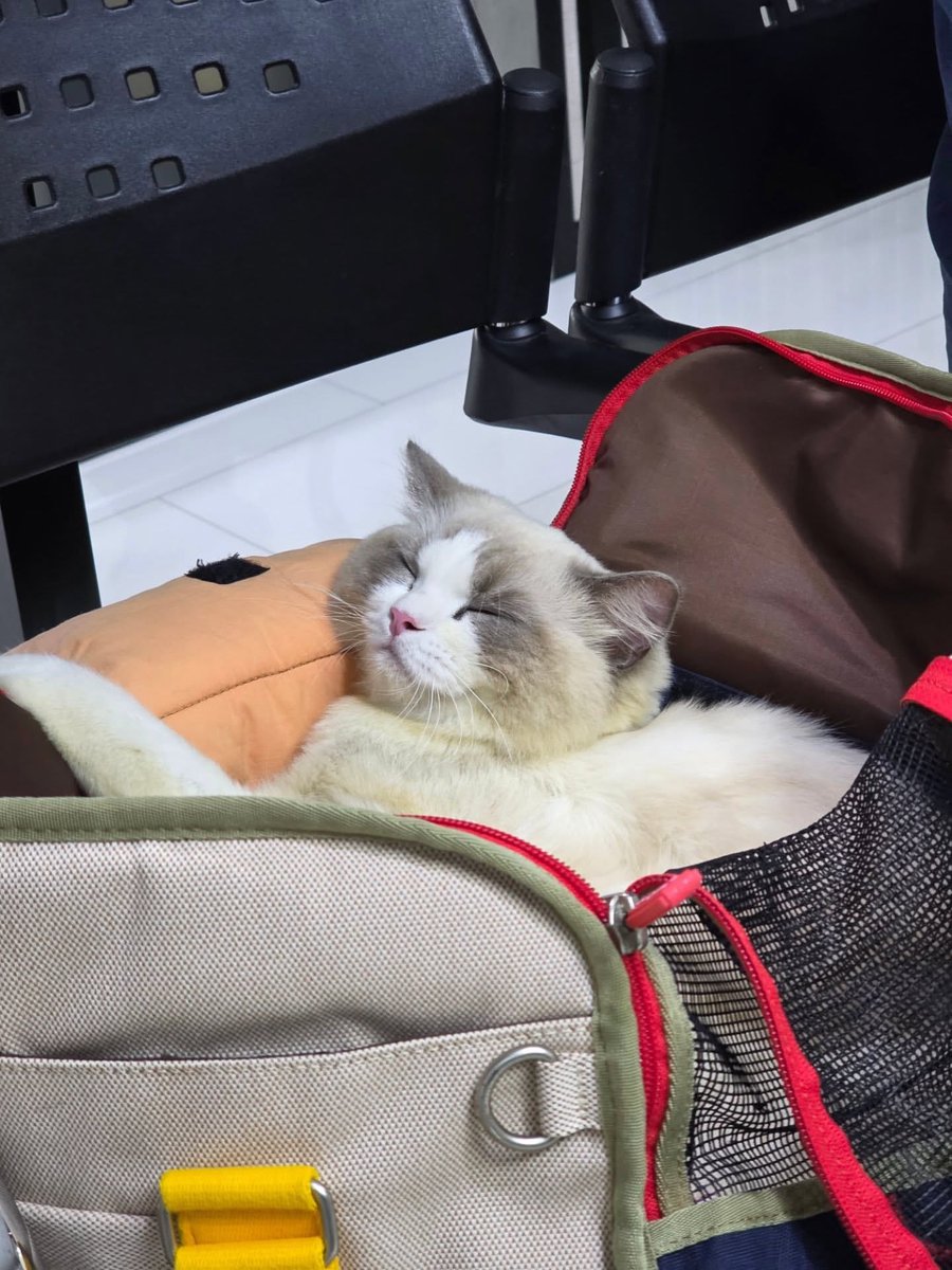 PhuwinOfficial's tweet image. ➖ 📷 IG @phuwintang REPOST:

2025 Wrapped

💞 ғᴏʟʟᴏᴡ ɪɴꜱᴛᴀɢʀᴀᴍ : phuwintang
Like 🤍 Comment 💬 Share 📤 Repost 🔁

31DEC Dazzling PHUWIN
❥@phuwintang🍯
#phuwintang
#RecapPhuwin2025