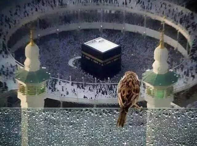 METİN TÜRKAY ® 🇹🇷 tweet media