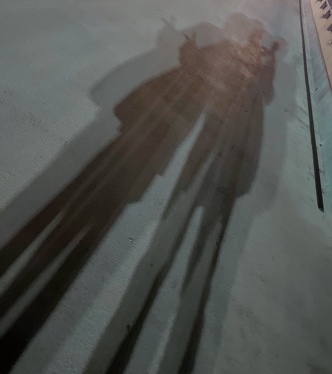 神谷洸太 tweet media