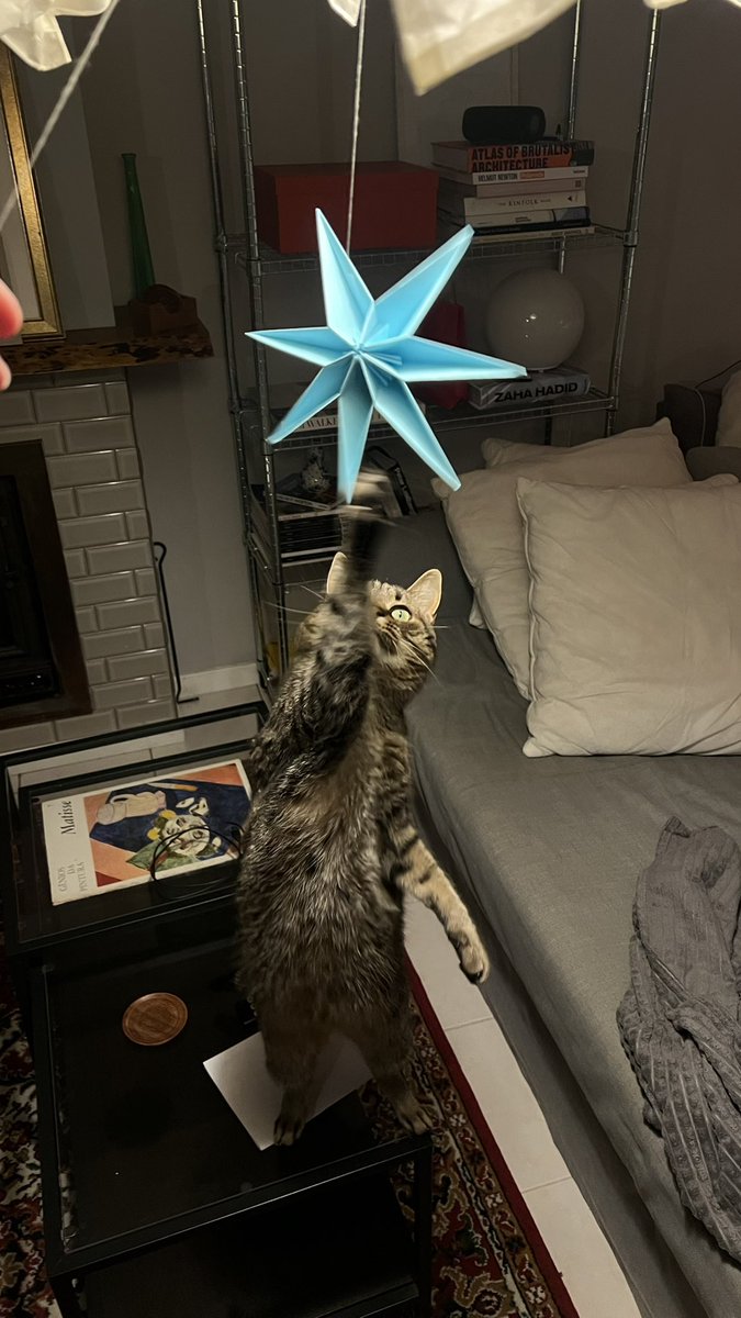 мистер говнюк на охоте