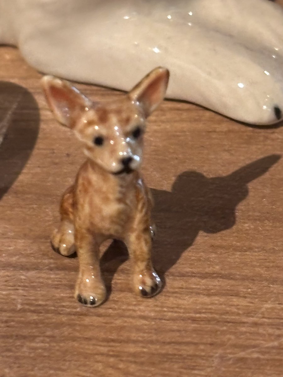 sonyaproud's tweet image. เจอหมึกด้วย แต่เป็น หมึก(เสียงเล็ก)