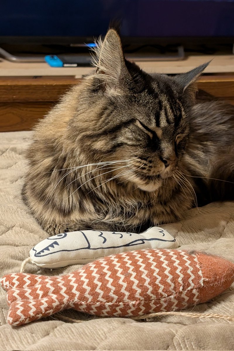 робочі підсумки 2025-го: здав 158 проєктів у 15 видавництвах (20 із них ще поки не вийшли)

бажаю собі в наступному році трошки більше відпочивати

муд на кінець року: