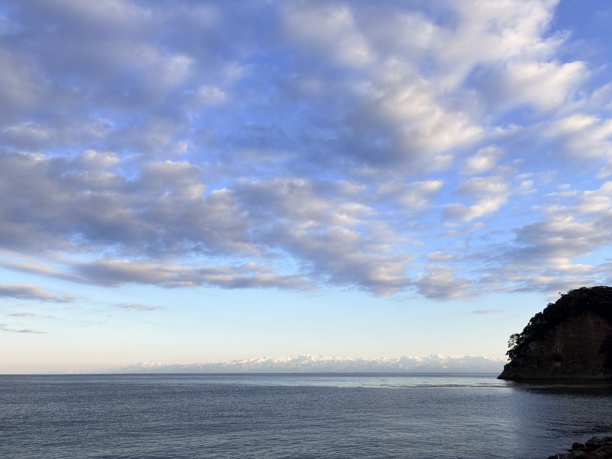 安寧の揺籠 tweet media