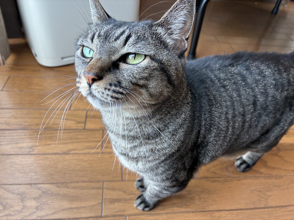 いけやん (@ikeda_aka) / Posts / X