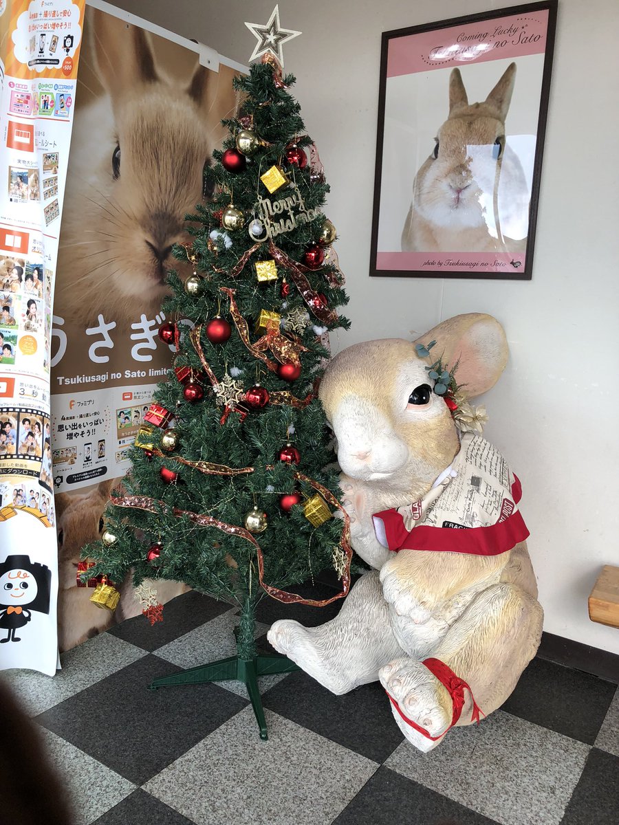 karimpani2's tweet photo. 富山三日目③
最後の昼食にも蟹を一杯。
うさぎ専門店と隣接していてうさぎグッズがたくさん。
帰りの駅で温泉旅館の土産を吊るしたツリーが。 https://t.co/9MT6op2smB