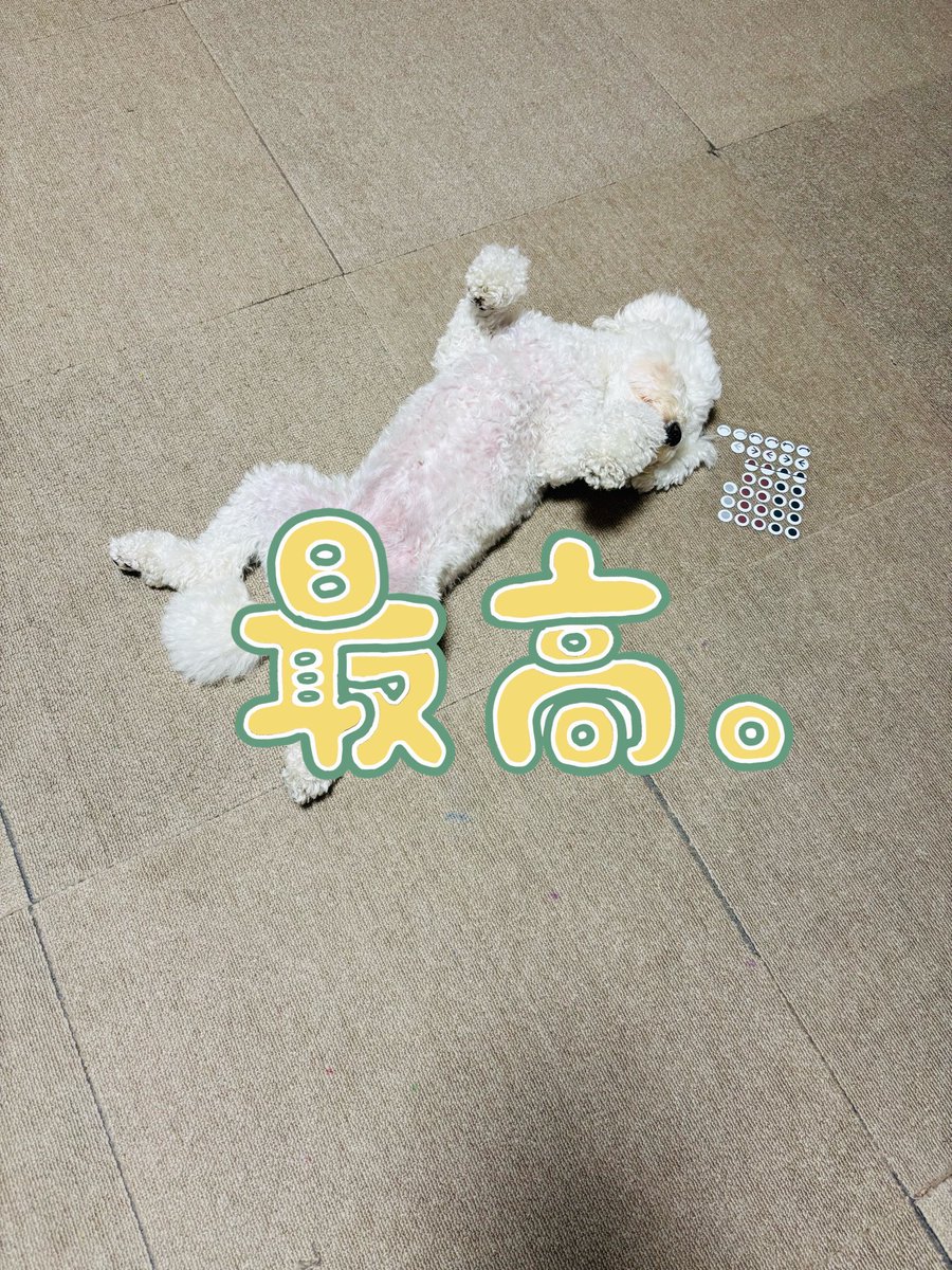 ith_gonto's tweet photo. 気づきたらこれよ？
どゆこと？？ https://t.co/9oi8KZ1kta