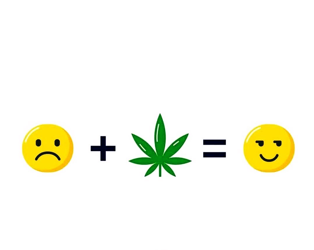 CannabisAngelxo's tweet photo. https://t.co/z8y9V54GpH