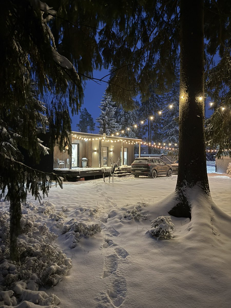 Дам вам немного нашего новогоднего вайба