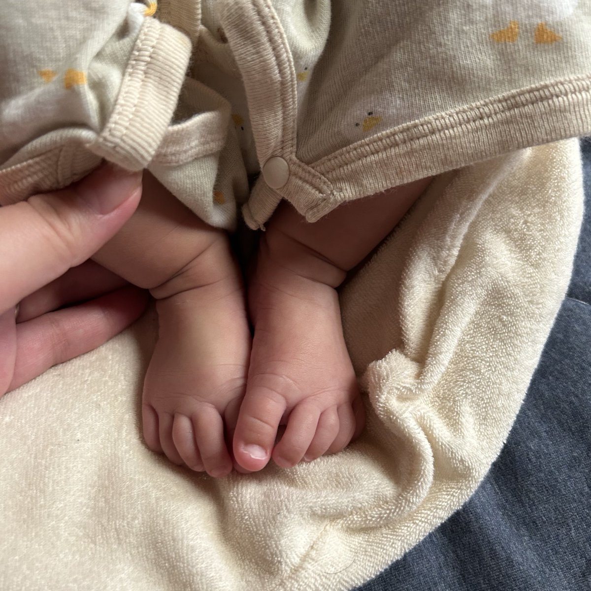mityon_325's tweet photo. 私事ですが2025年が終わる前にご報告です
この度あすかと私の間に子供が産まれました👶🏻

2025年は妊娠に出産で色々制限された年だったけどこれから親子3人で頑張るので2026年もよろしくお願いします🥰 https://t.co/lZf9UzUKvV