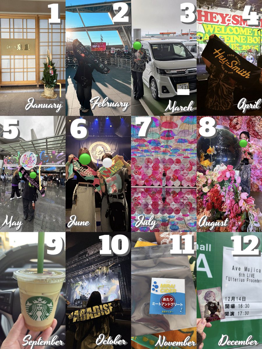 毬藻🟩 tweet media
