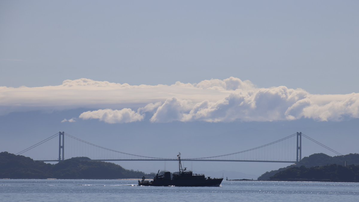 ぽんぽこ tweet media