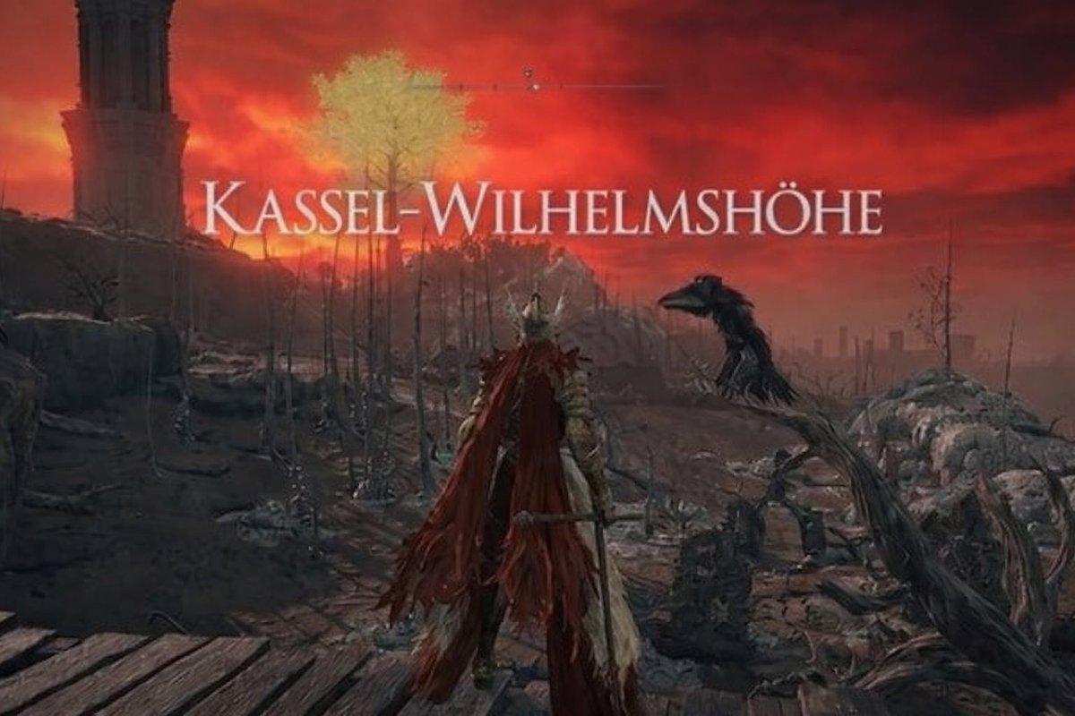 muhdingo's tweet image. holt mich raus