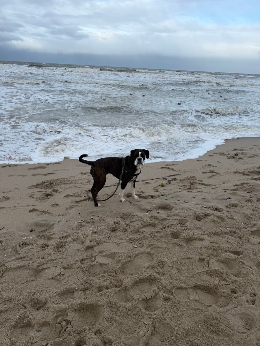 Princess 👑 tweet media