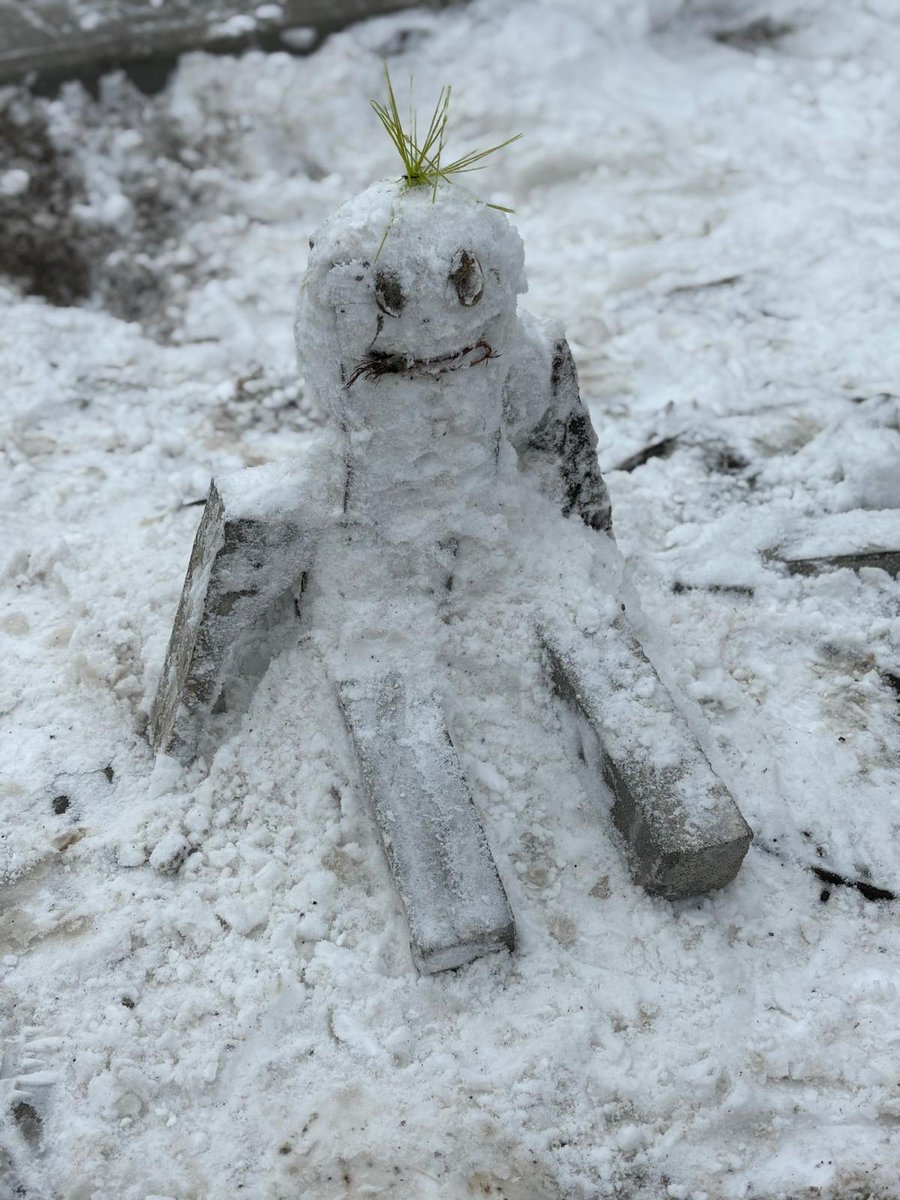 BeeShocK tweet media