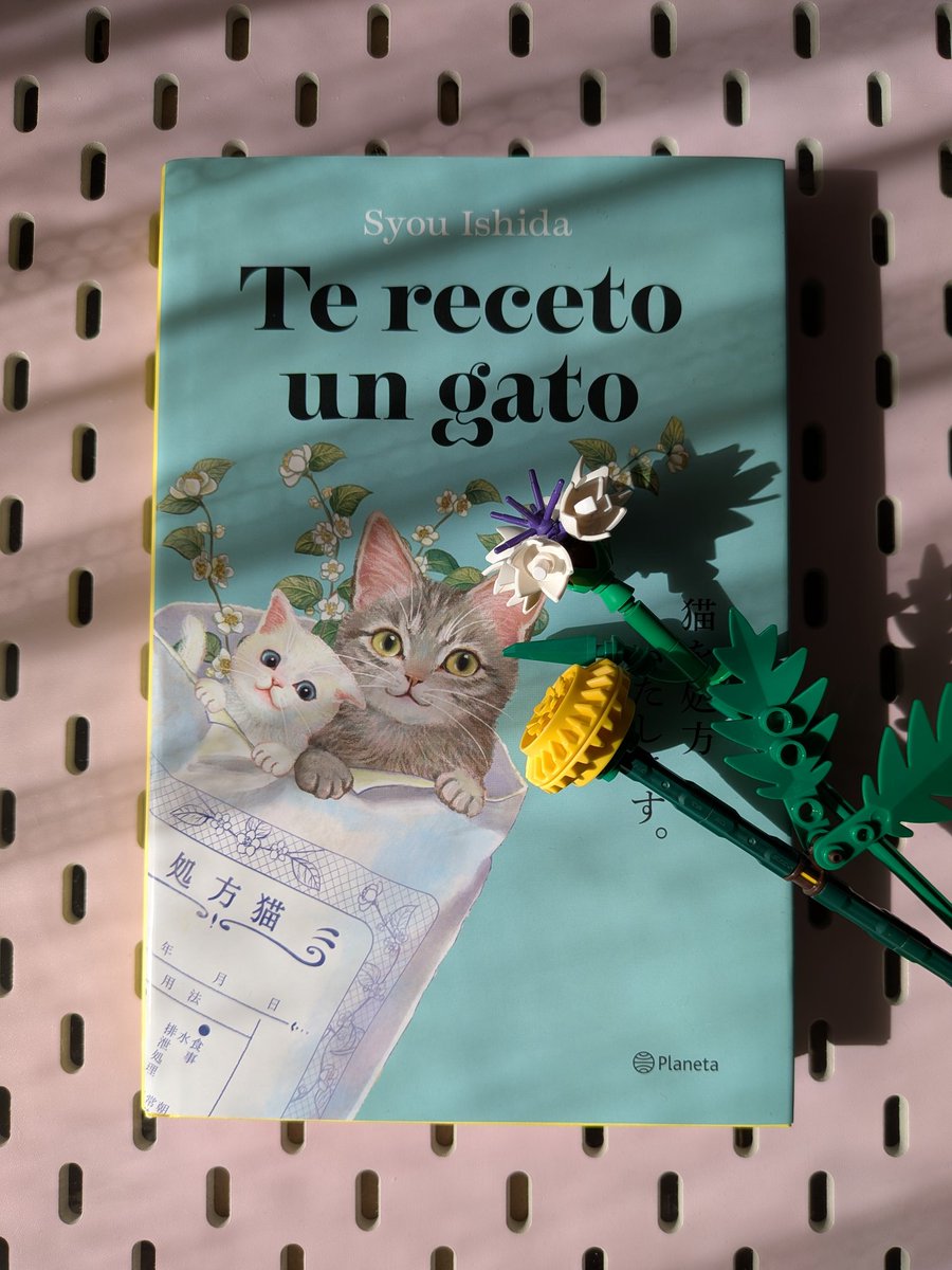 Te receto un gato (Syou Ishida) 🐈🐾🐈‍⬛⚕️