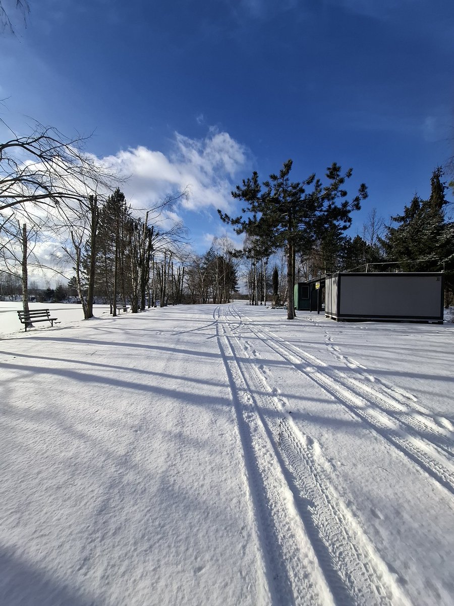 Dobrego popołudnia 🌲🎄🍸🎄🍸🎄🍸🎄🍸🎄🍸🎄🍸♥️