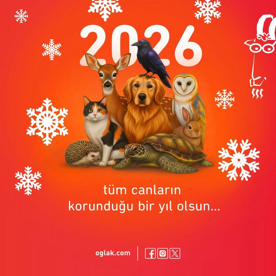 oğlak yayınları tweet media