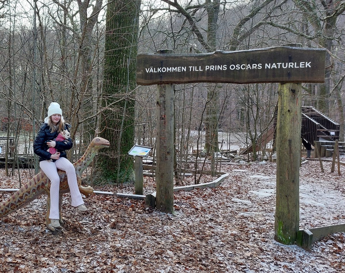 En liten promenad med Ebba och Börje. Nu är det till att få till en toastskagen . Har precis gjort majonnäs och skalat räkor . Jag tänkte ha smördeg som underlag.  Hur kan man piffa upp de . Pensla med olja ägg eller något?