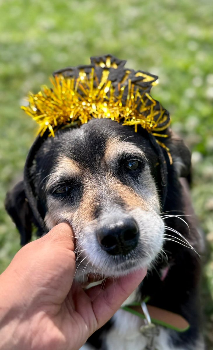 El Campito Refugio tweet media