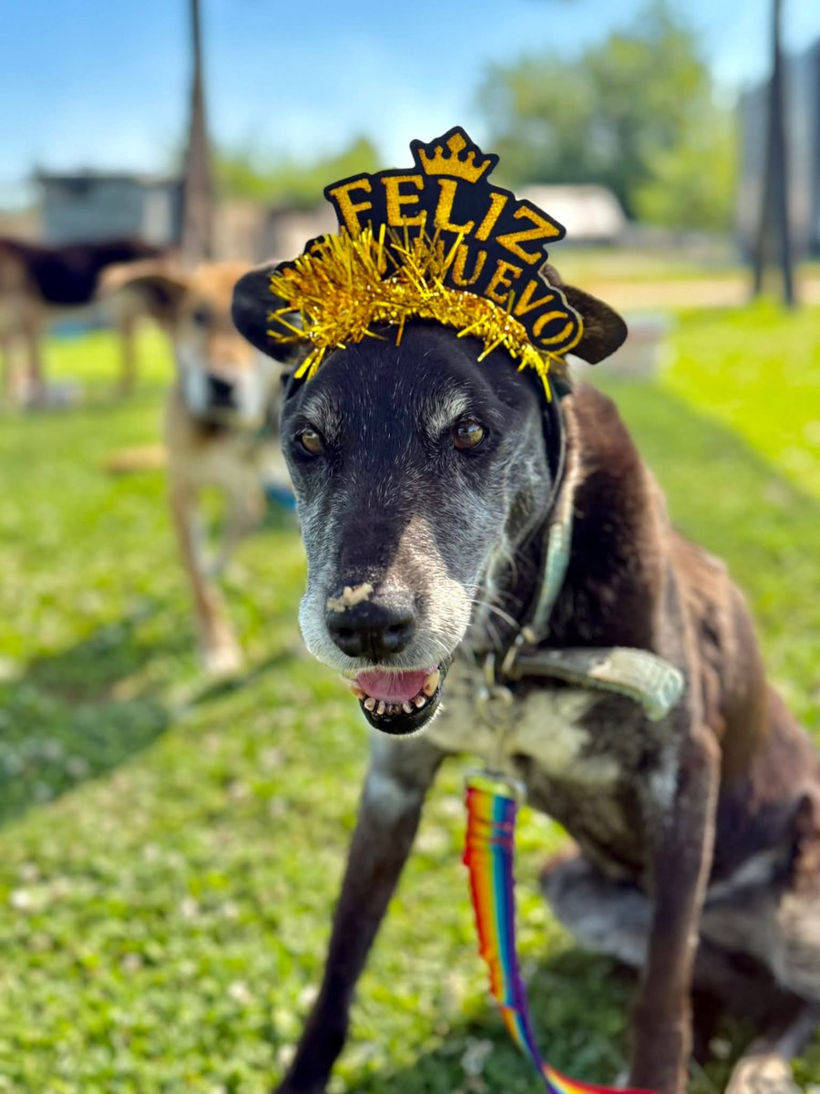 El Campito Refugio tweet media