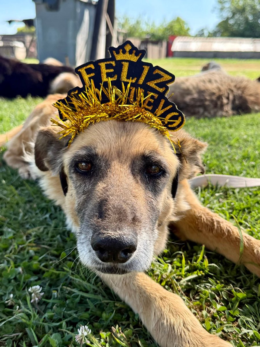 El Campito Refugio tweet media