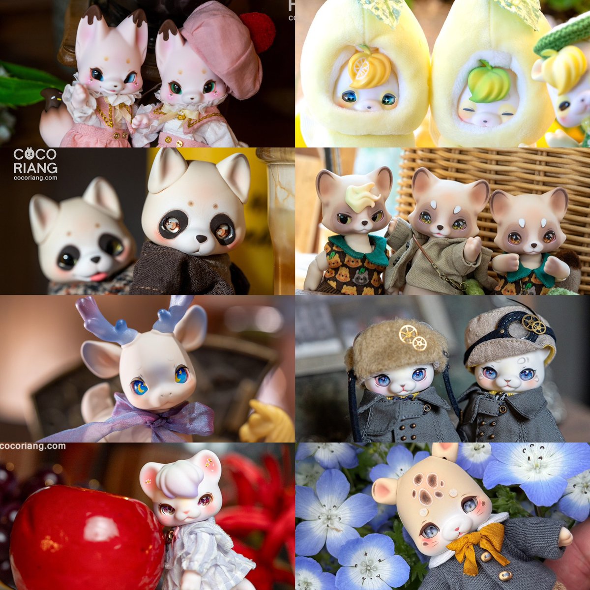 ココリアンブラックポイ cocoriang ココリアンブラックポイ cocoriang ココリアンブラックポイ cocoriang