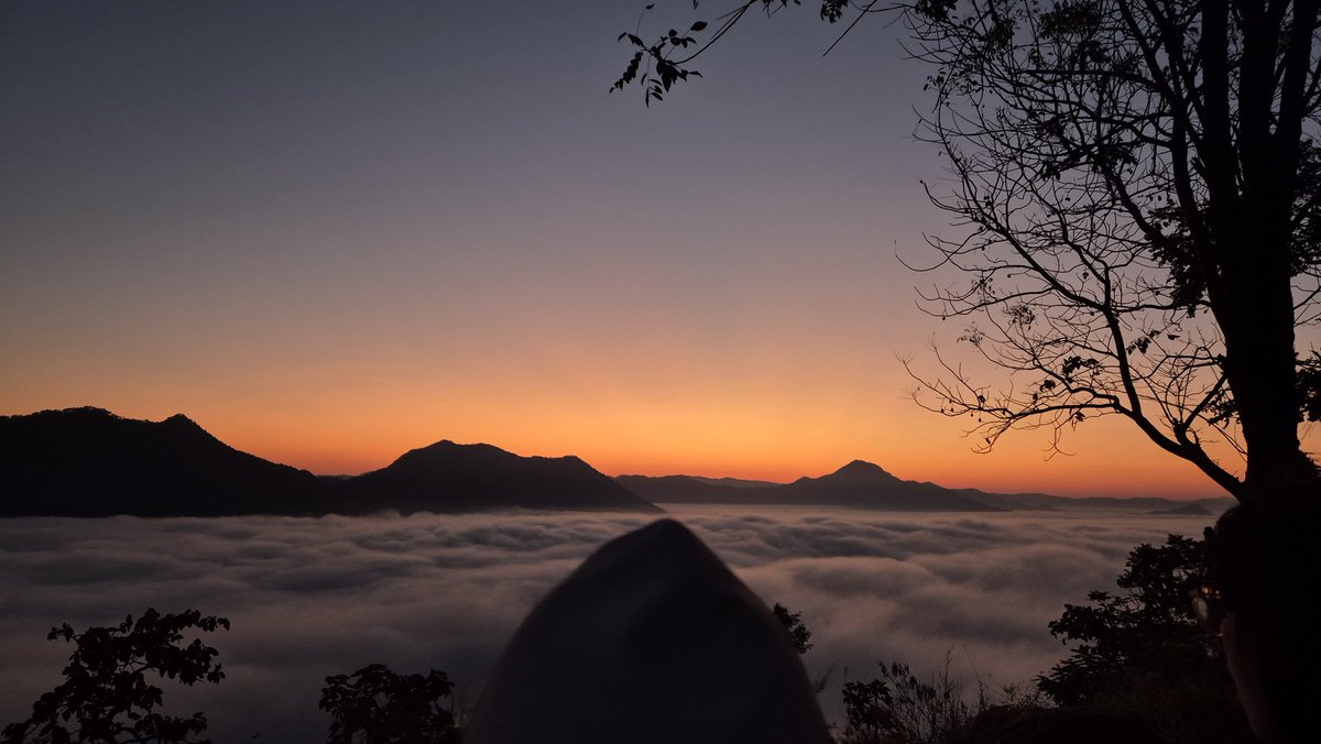 Moonoise1's tweet image. ภูทอกหมอกเยอะมาก