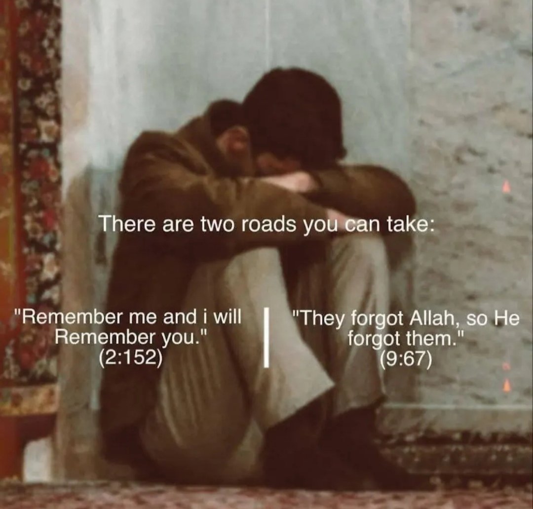 m_barira's tweet image. 