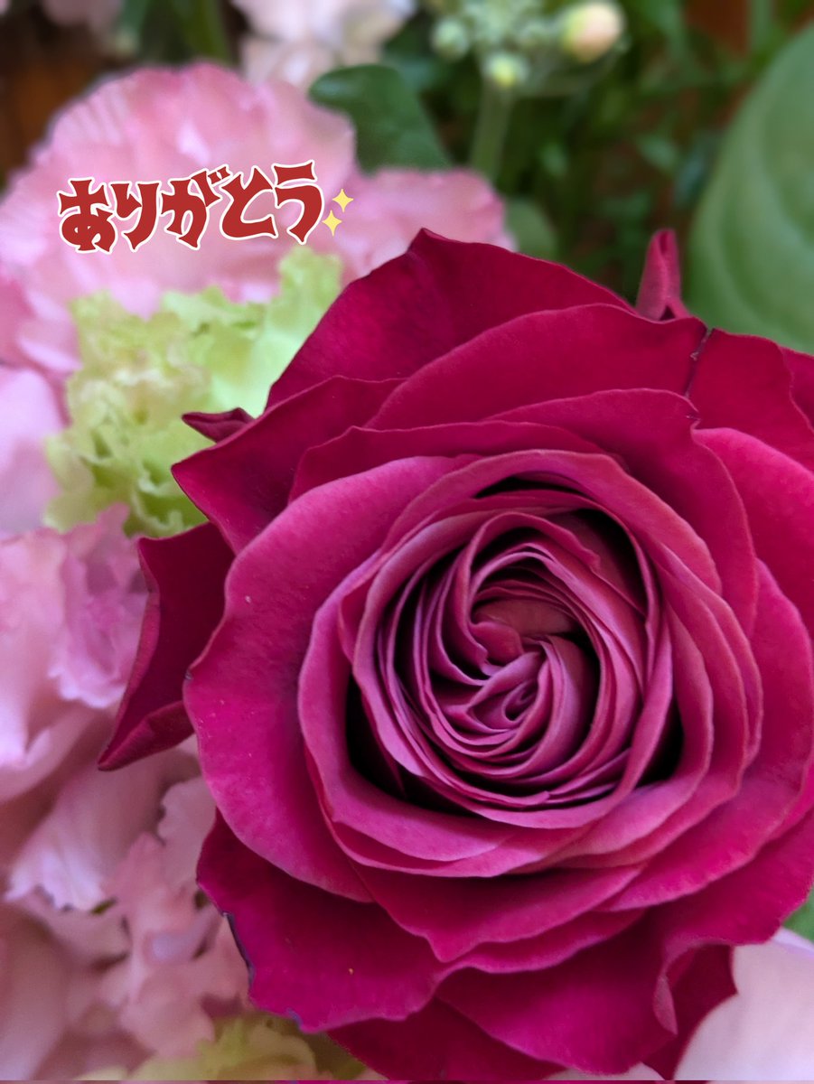 彼のスケートを見て言葉を聞いて癒され、そしてこの場所で元気を