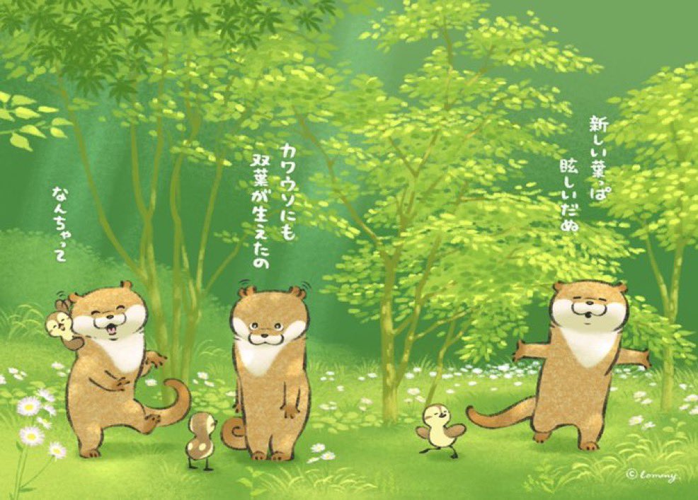 可愛い嘘のカワウソ #2025年自分が選ぶ今年の4枚