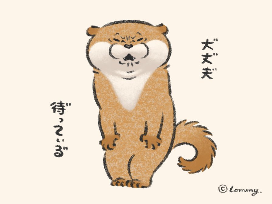 可愛い嘘のカワウソ #2025年自分が選ぶ今年の4枚