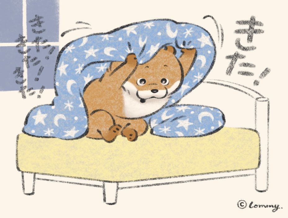 可愛い嘘のカワウソ #2025年自分が選ぶ今年の4枚