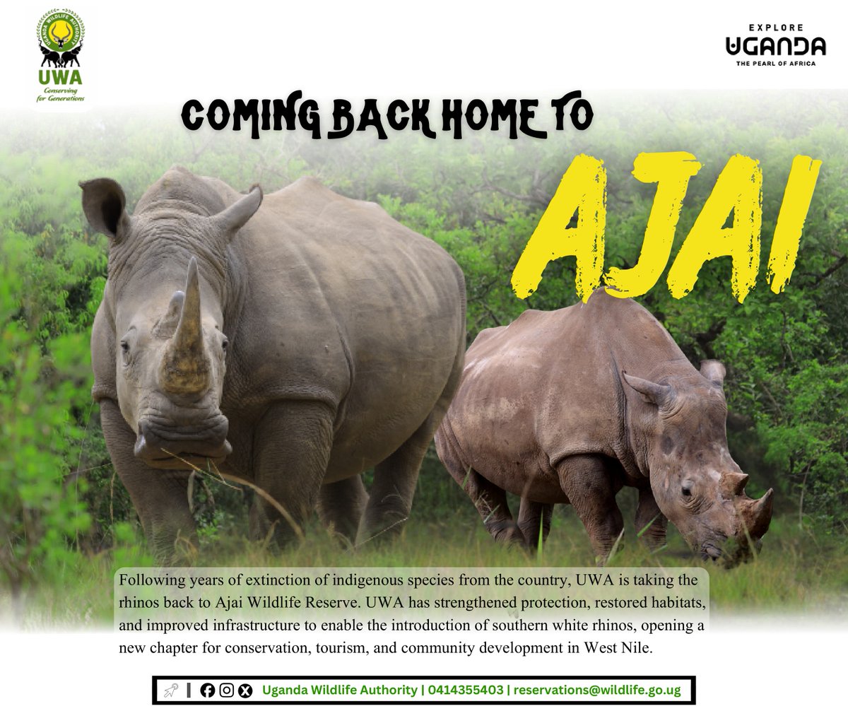 January is here, the journey begins👇
#RhinoConservation