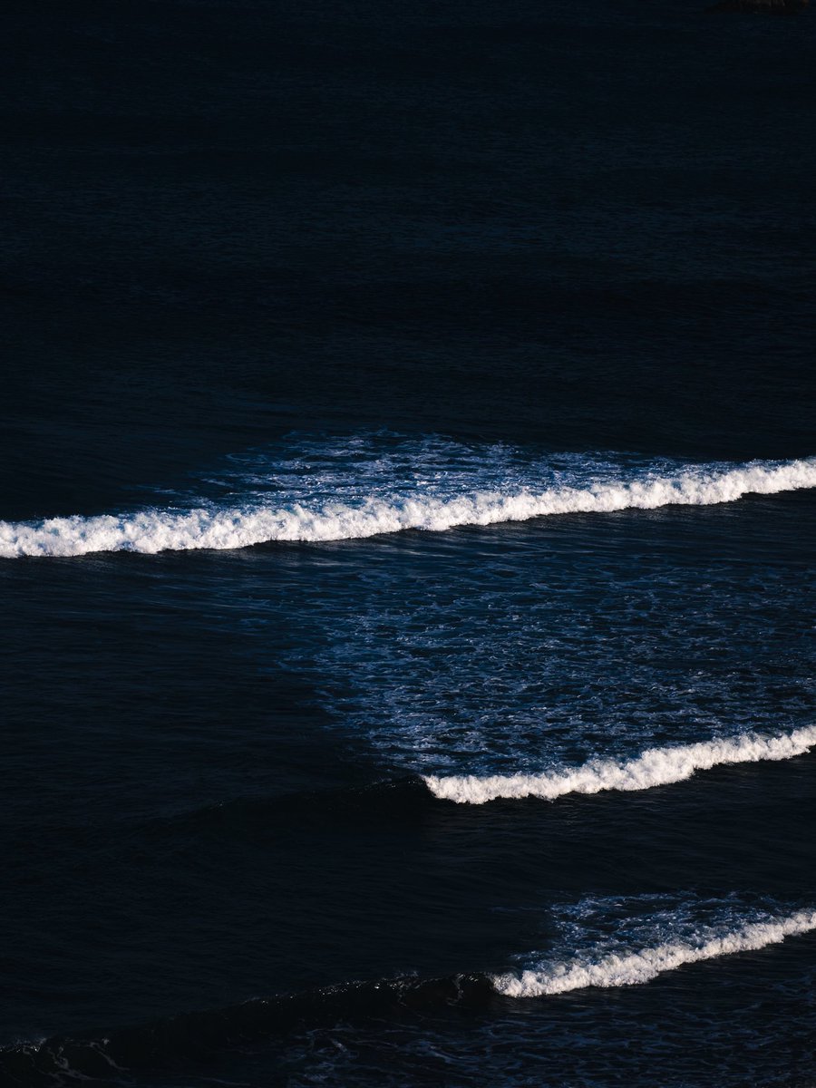 横尾 涼@Photoli tweet media