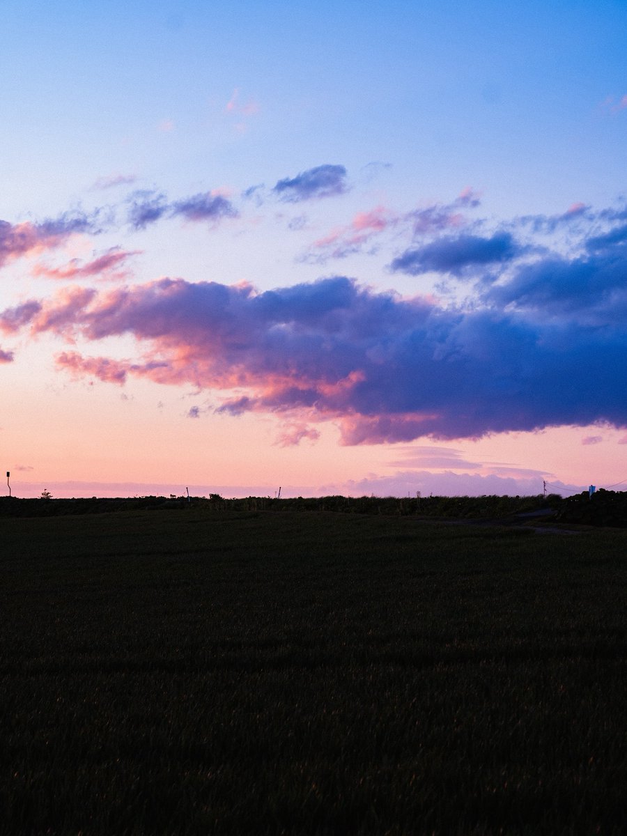 横尾 涼@Photoli tweet media