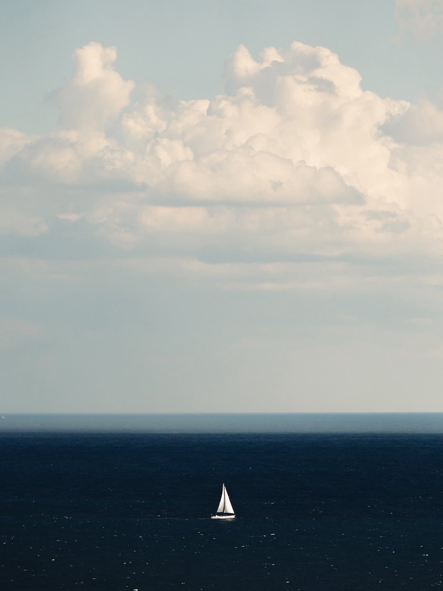 横尾 涼@Photoli tweet media