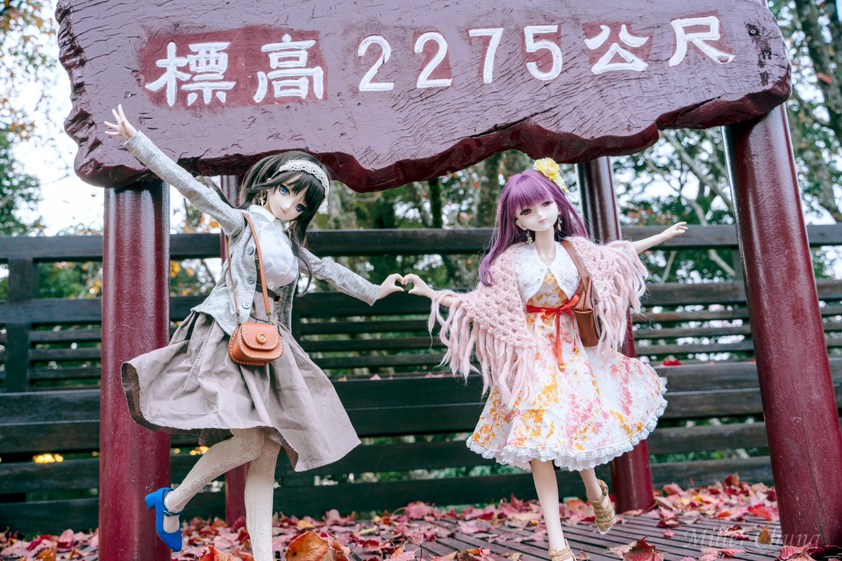 来年も、皆さんが平穏無事でありますように～😌
#今年も残りわずかなのでお気に入りの4枚を貼る 
#2025年自分が選ぶ今年の4枚 
#TOAClaris #ののショール #dropparts #ちぇり靴 #moment_doll #BorderlineToybox #やみの娘