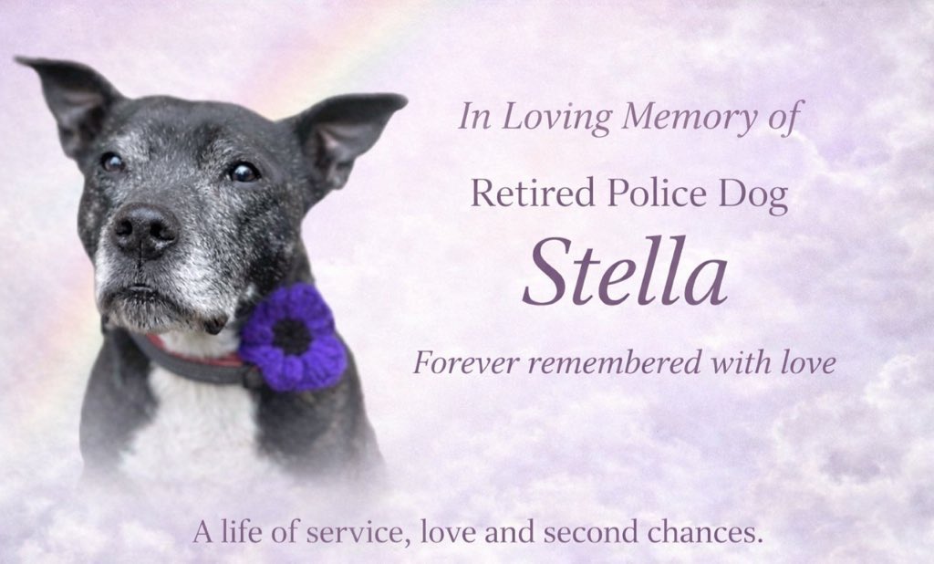 You will never be forgotten RPD Stella.