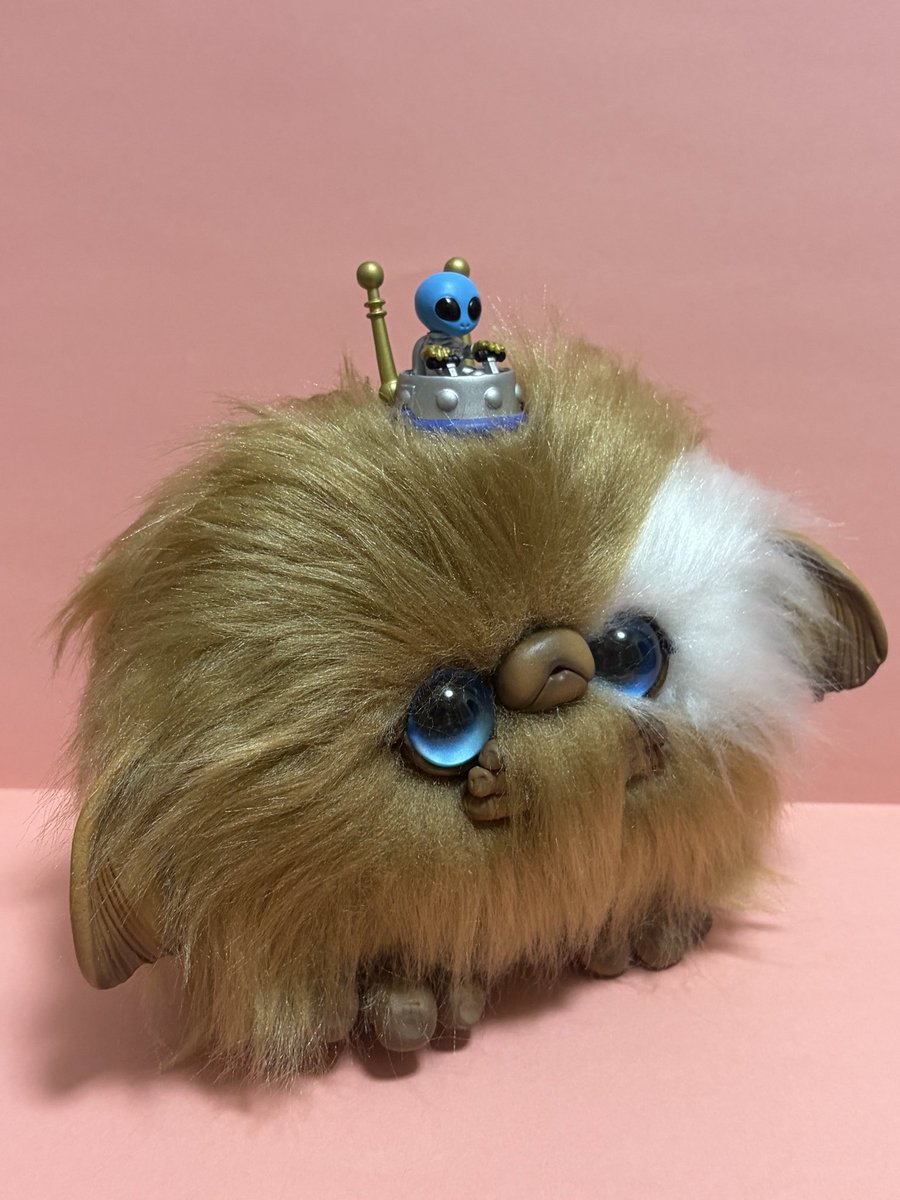 Foidoll-ふぉわどーる🧛‍♀️皆さまいつもありがとう🪄 (@foidoll