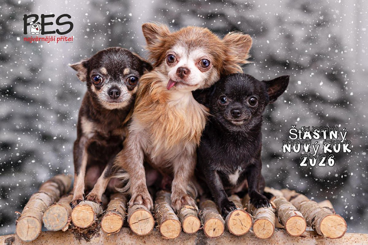 ✨ Krásný nový rok všem, kteří stojí při nás.
Za každým zachráněným psem, plným bříškem a novou šancí na lepší život jste vy. Děkujeme za podporu, sdílení i dary. Díky vám můžeme pomáhat dál. 🐶💛

#NovyRok #Dekujeme #PomocPsům #Utulek #ZachranaPsů #PesNejvernejsiPritel