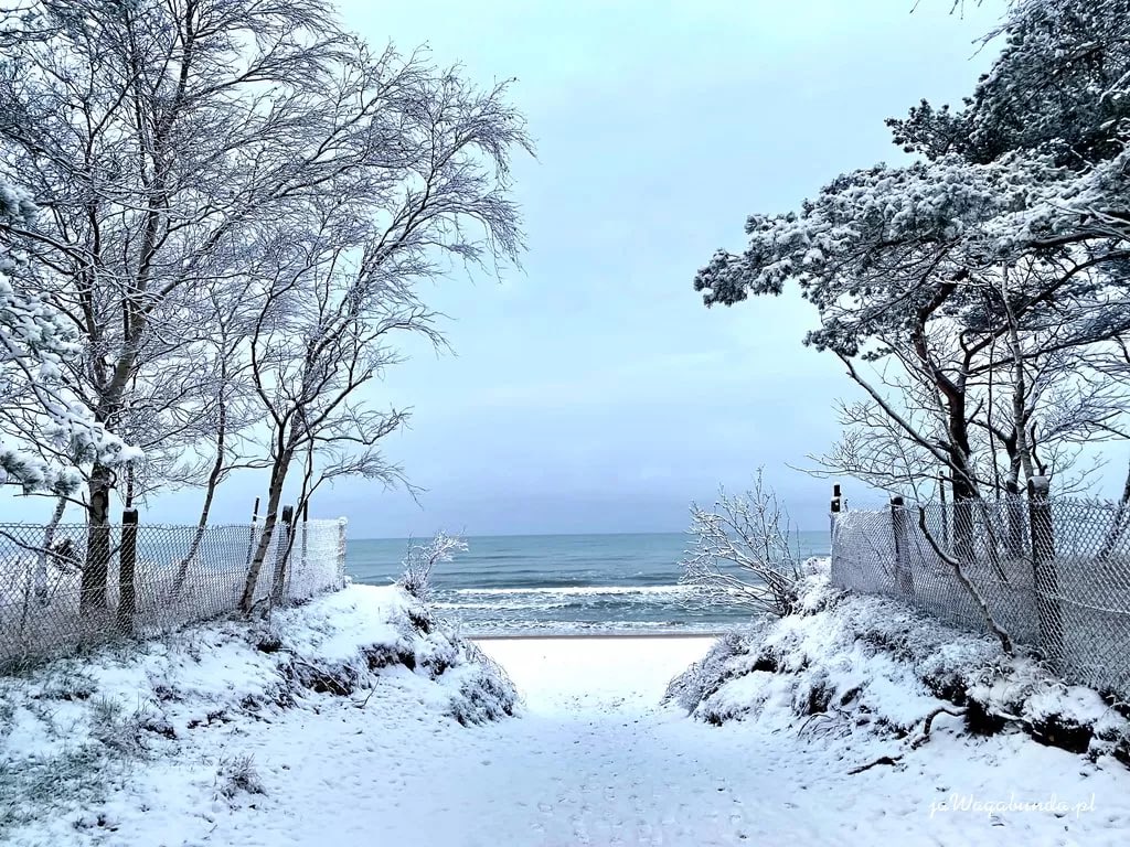 Ostatni spacerek w tym roku 😉